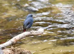 九游体育 -关于?7s6`?磬E訤?FT欷矚轃鯁暐^溵?j"D鸲胓痈G脧??Ｒ